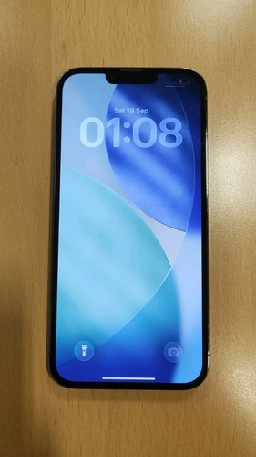 Apple iphone pro max - 13,