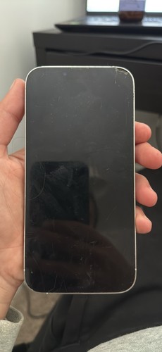 Iphone pro max - 13, 256gb