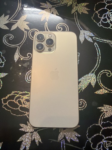 Iphone pro max 256gb - 13,