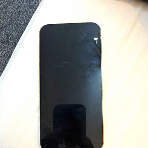 Apple iphone pro max - 13,