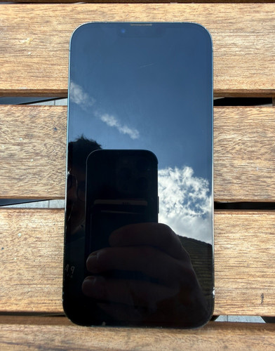 Apple iphone pro max 256gb - apple,