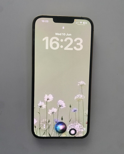 Apple iphone pro max - 13, 128gb