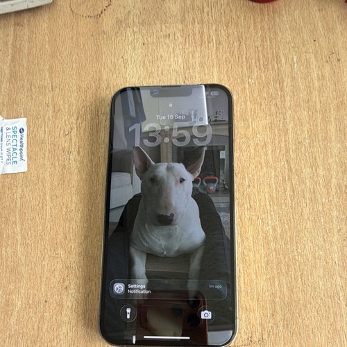 Apple iphone pro max - apple, 256gb